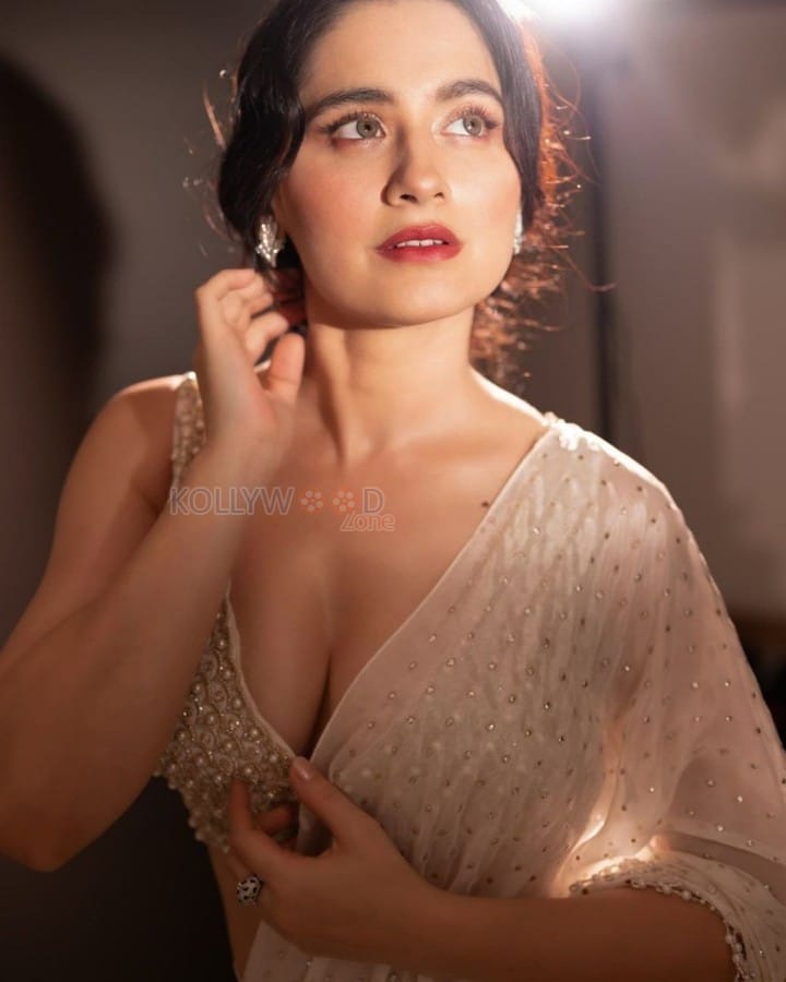 Sexy Sanjeeda Shaikh in an Ivory Georgette Tiered Pre Stitched Saree Photos 05