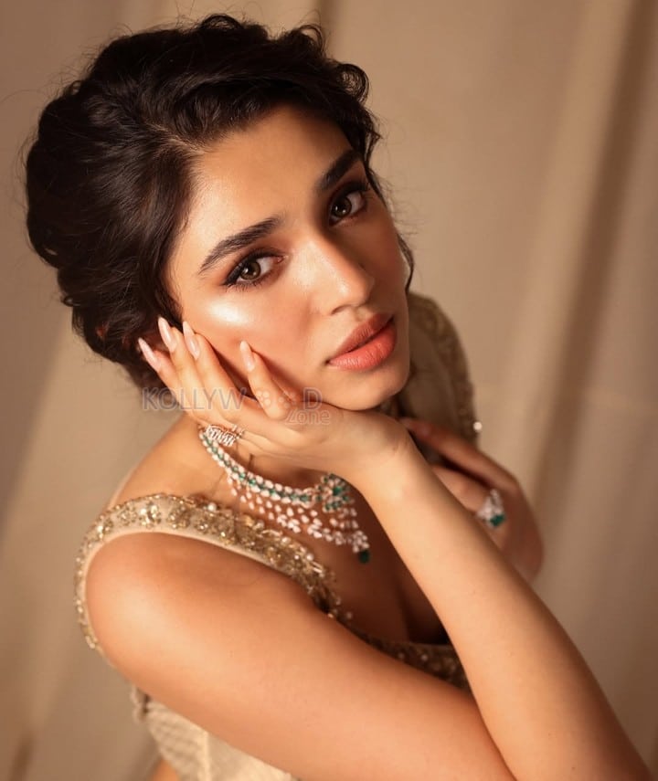 Stunning Krithi Shetty in a Golden Saree and Sleeveless Blouse Photos 04