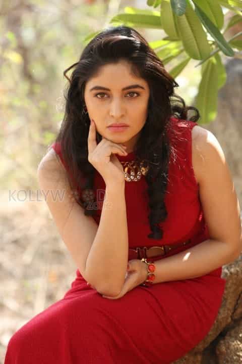 Telugu Actress Zahida Sam Photos