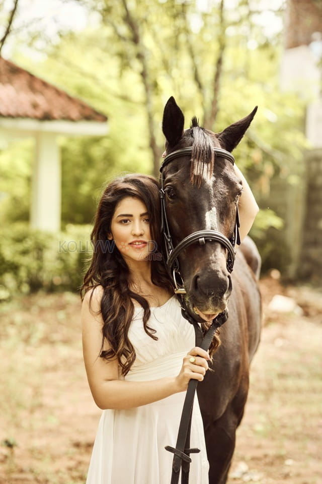 Tollywood Heroine Priyanka Jawalkar Latest Horse Photoshoot Pics