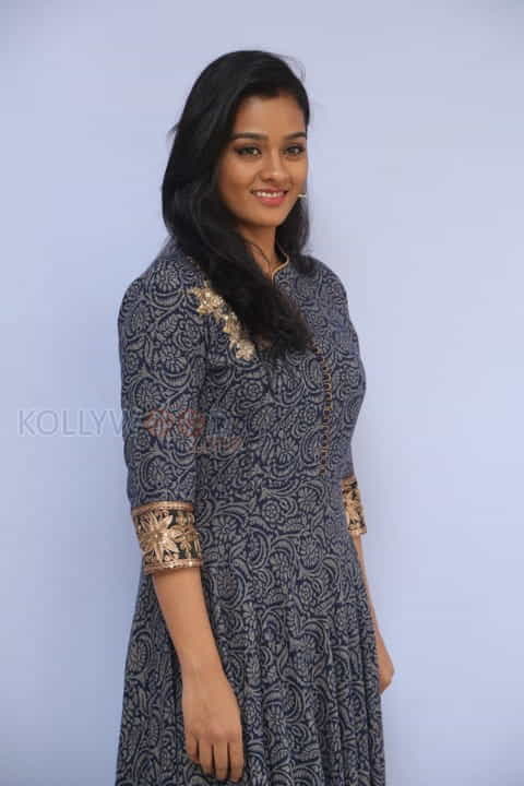 Actress Gayathrie Shankar Photos