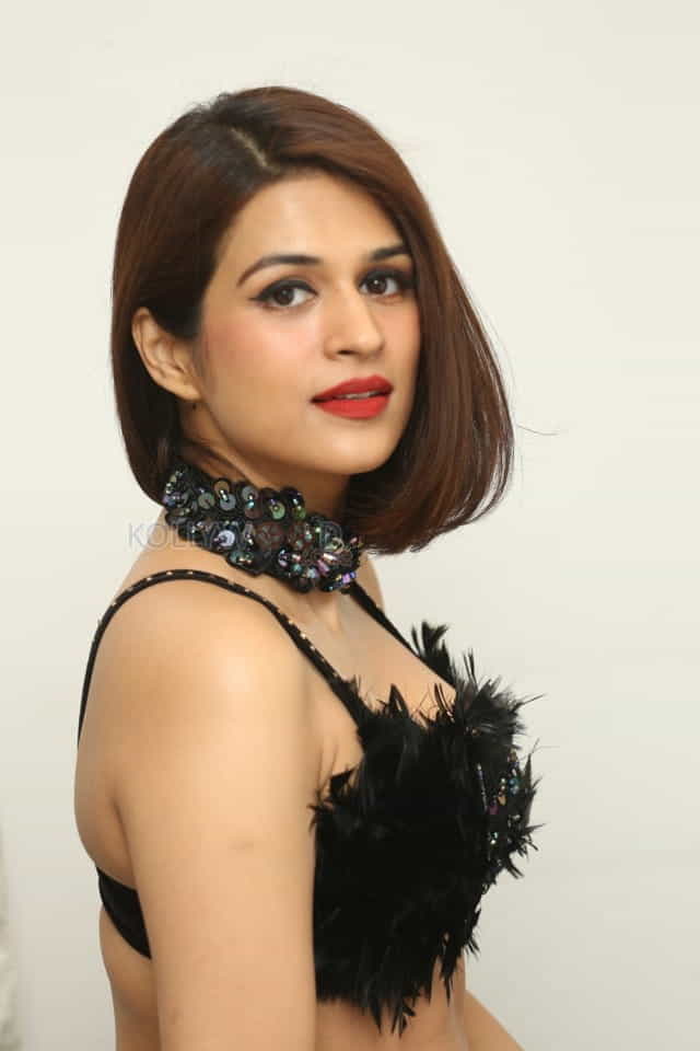 Actress Shraddha Das At Bang Bang New Year Celebration Photos