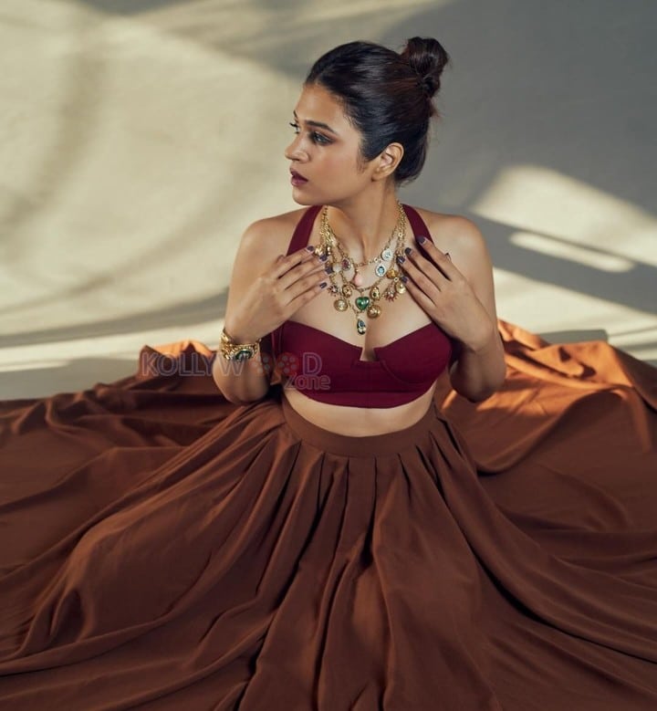 Beautiful Actress Shraddha Das in a Brown Lehenga Choli Photos 01