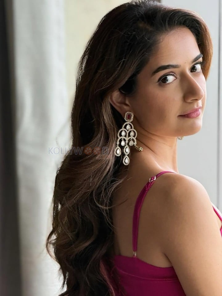 Beautiful Ashika Ranganath in a Pink Saree with a Sleeveless Blouse Photos 06