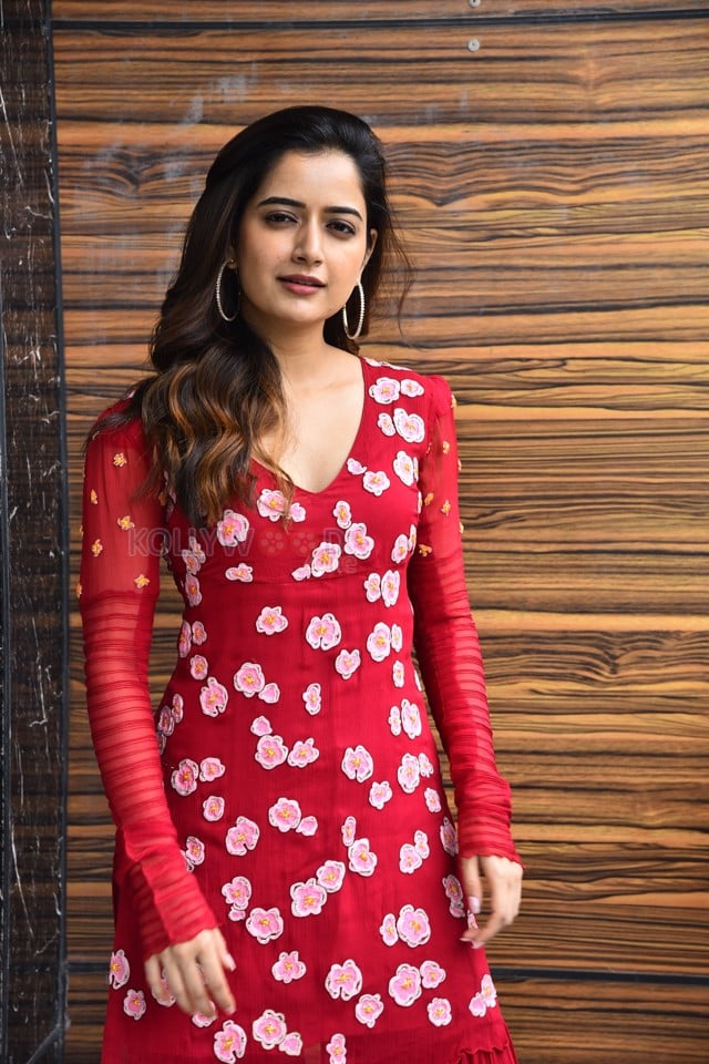 Beautiful Heroine Ashika Ranganath at Naa Saami Ranga Interview Pictures 59