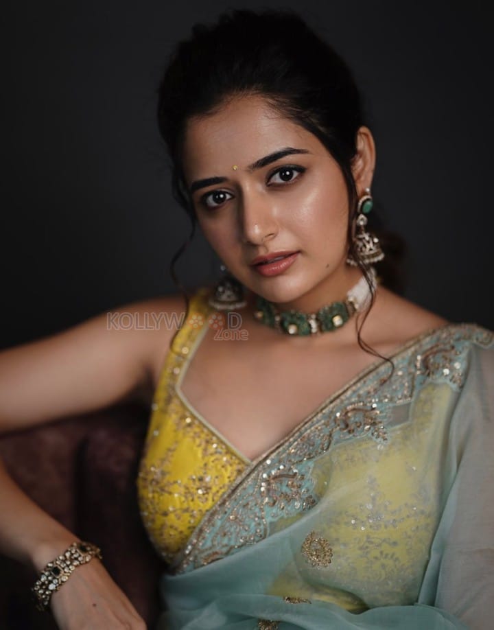 Dazzling Ashika Ranganath in a Yellow Sleeveless Blouse and Embroidered Saree Photos 01