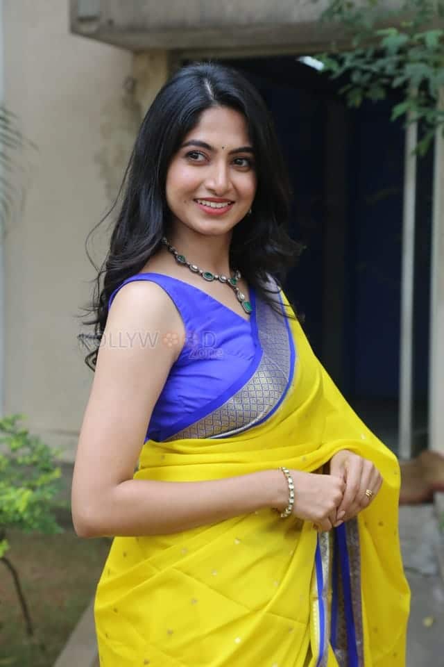 Heroine Kushee Ravi at Pindam Pre Release Press Meet Pictures 14