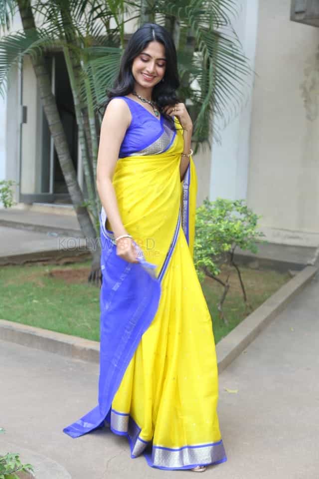 Heroine Kushee Ravi at Pindam Pre Release Press Meet Pictures 20