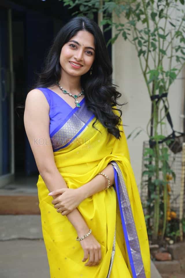 Heroine Kushee Ravi at Pindam Pre Release Press Meet Pictures 35