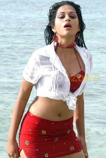Hot Shraddha Das Stills