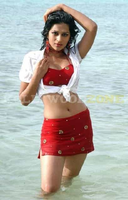 Hot Shraddha Das Stills