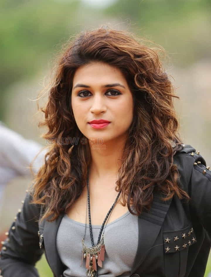 No Bajanai Kovil Theru Heroine Shraddha Das Photos