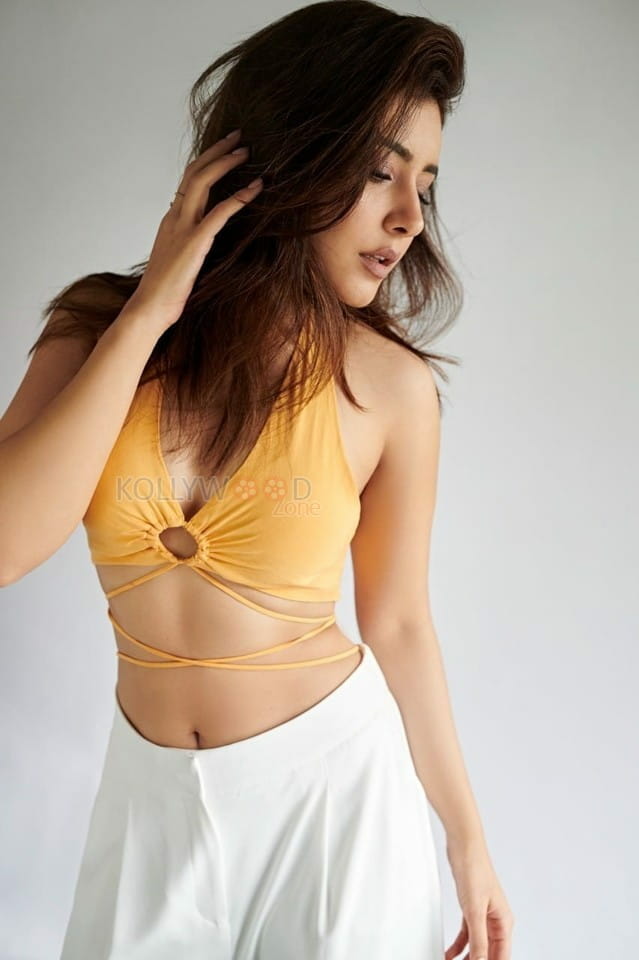 Slim and Sexy Raashii Khanna Hot Pictures