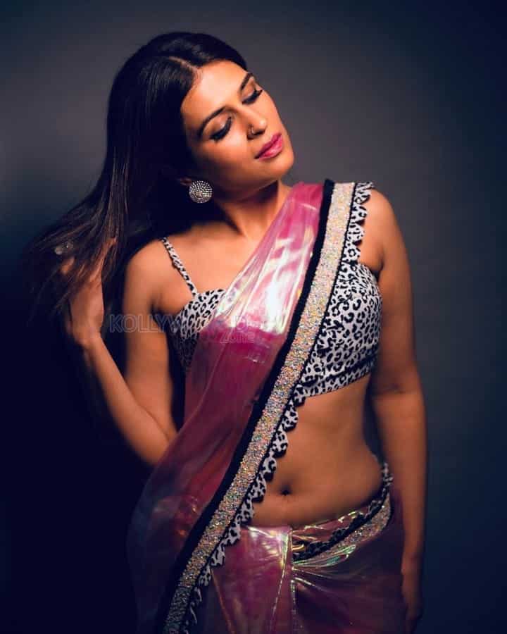 Stunning Shraddha Das Showing Navel in Saree Photos 01