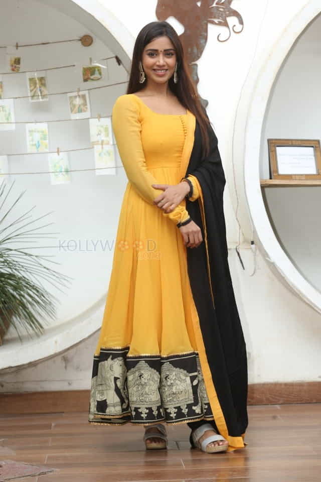 Tamil Actress Nivetha Pethuraj New Year Interview Pictures