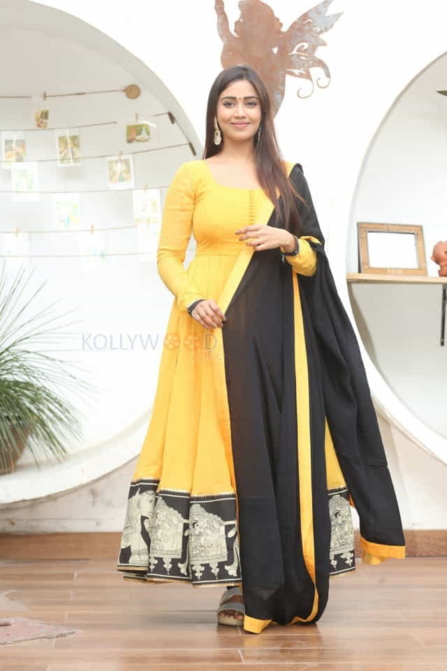 Tamil Actress Nivetha Pethuraj New Year Interview Pictures
