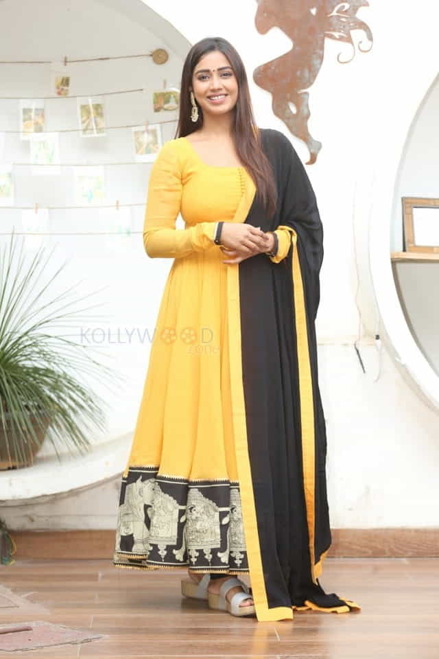 Tamil Actress Nivetha Pethuraj New Year Interview Pictures