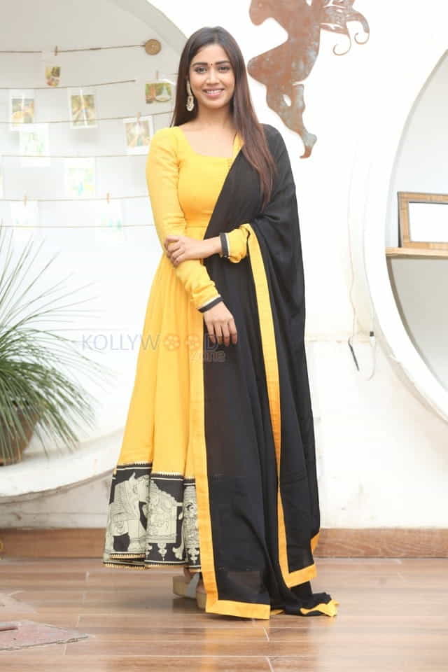 Tamil Actress Nivetha Pethuraj New Year Interview Pictures