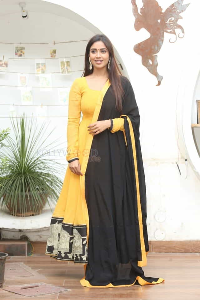 Tamil Actress Nivetha Pethuraj New Year Interview Pictures