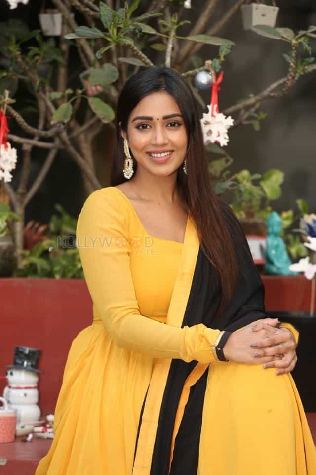 Tamil Actress Nivetha Pethuraj New Year Interview Pictures