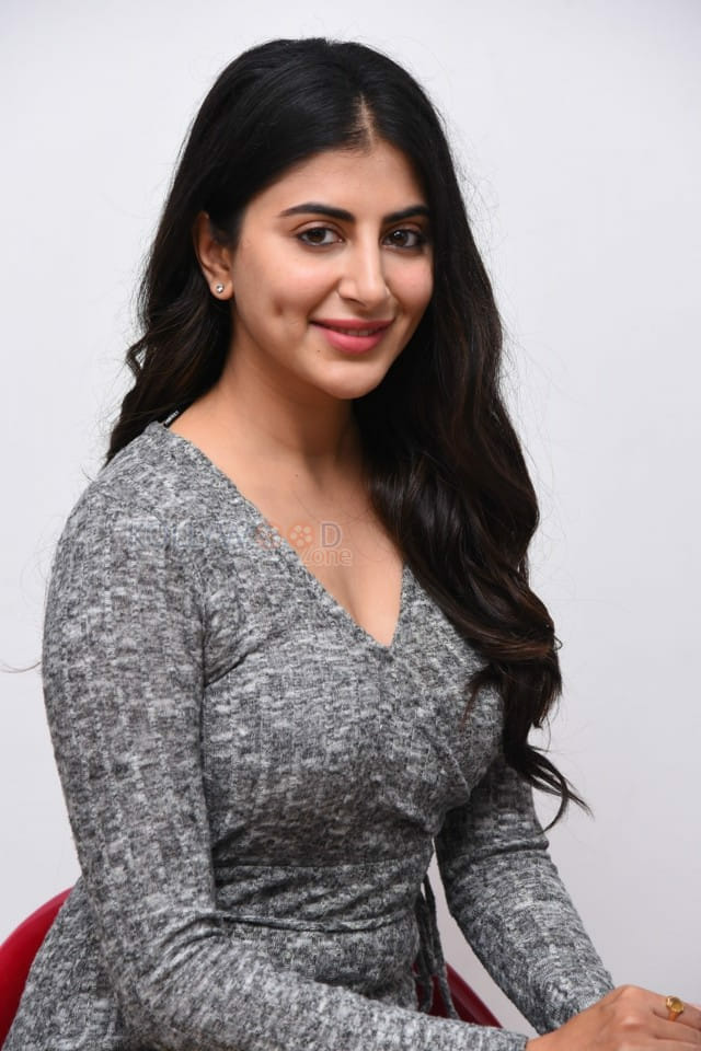 Tollywood Heroine Shweta Avasthi Interview Photos