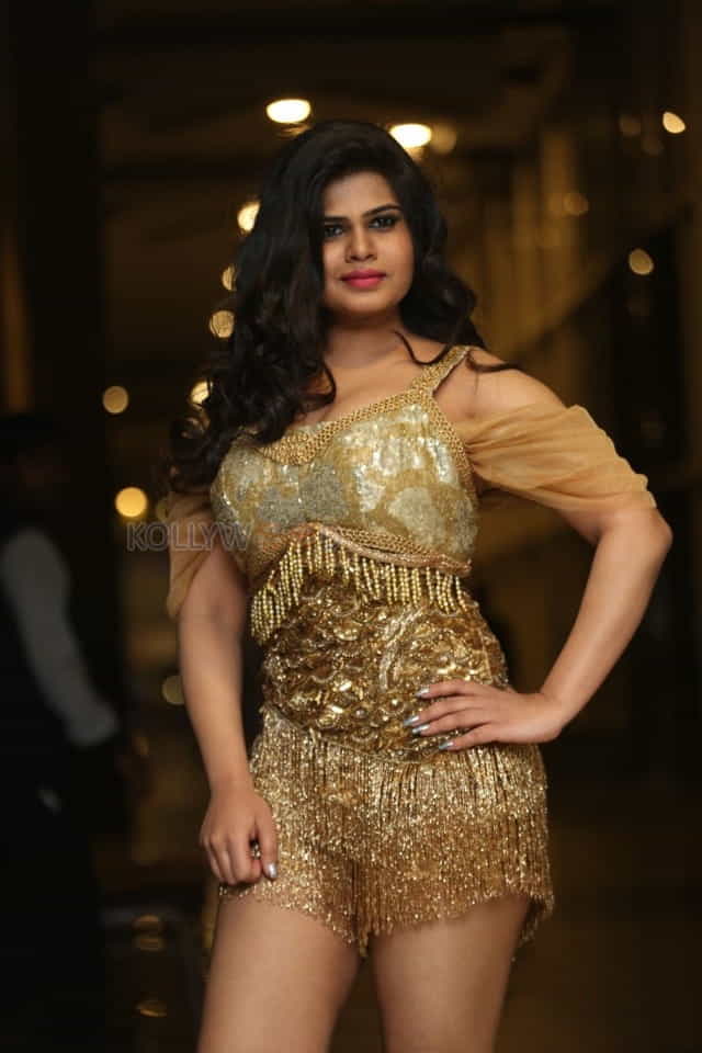 Actress Alekhya At Kgf Pre Release Event Function Photos 24