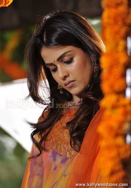 Actress Genelia Cute Sexy Pictures 15