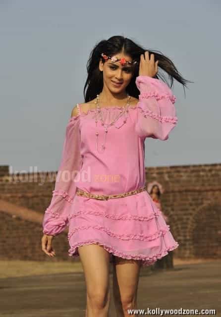 Actress Genelia Cute Sexy Pictures 18