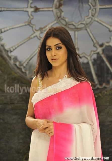 Actress Genelia Cute Sexy Pictures 37