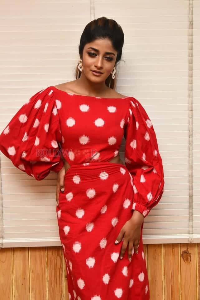 Actress Dimple Hayathi at Khiladi Movie Interview Photos 20