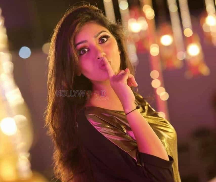 Actress Gayathri Suresh Photos 01