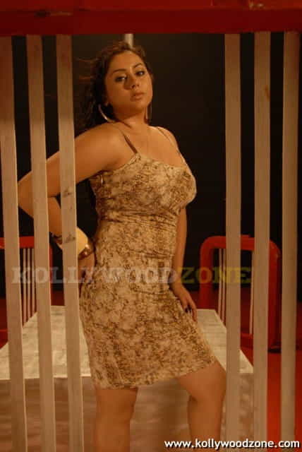 Actress Namitha Hot And Sexy Pictures 19