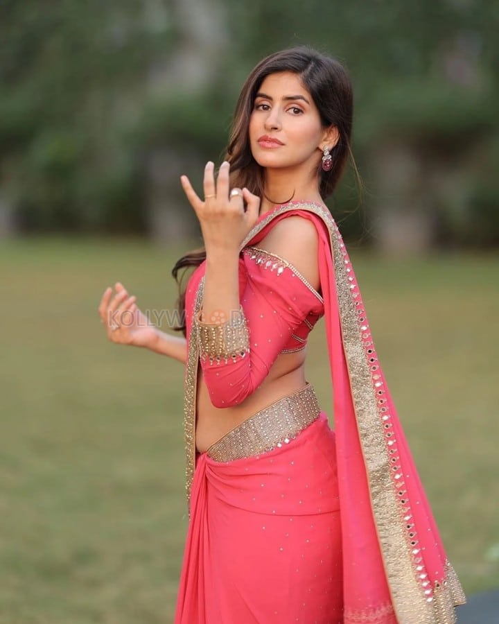 Actress Sakshi Malik in an Embroidered Silk Saree Photos 04