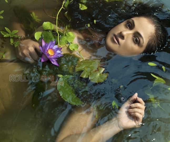 Actress Simran Photoshoot Stills 15