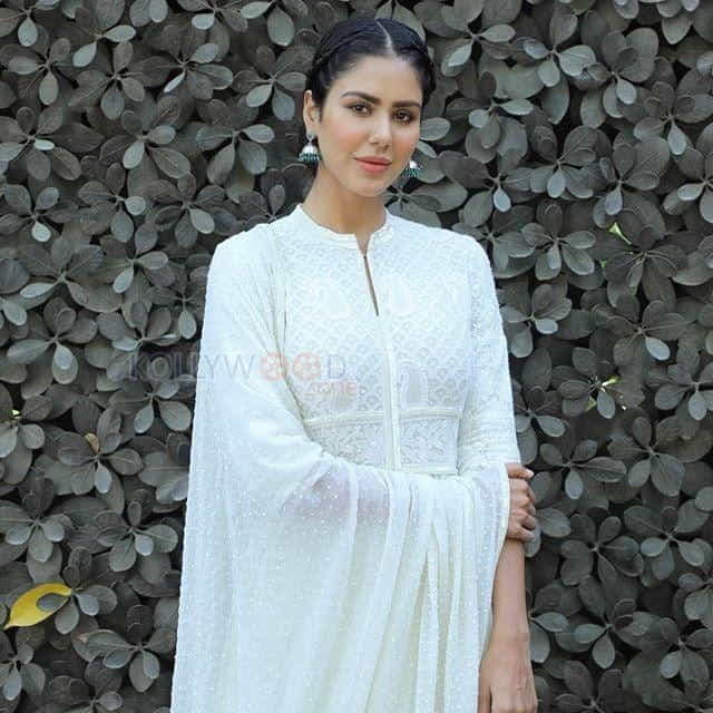 Actress Sonam Bajwa Photos 10