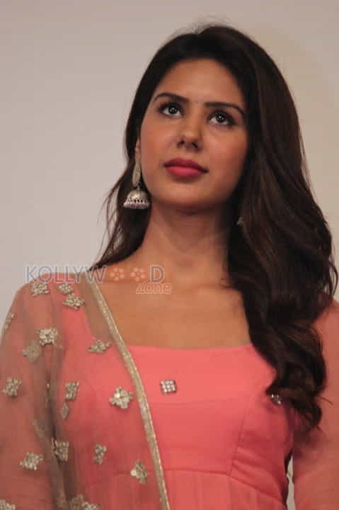 Actress Sonam Bajwa Pictures 02