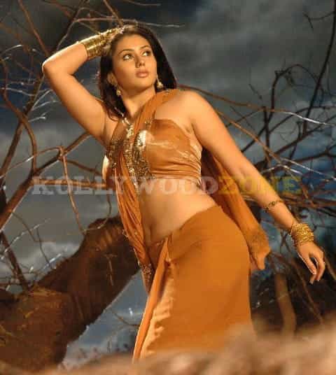 Hot Sexy Namitha Pictures 115