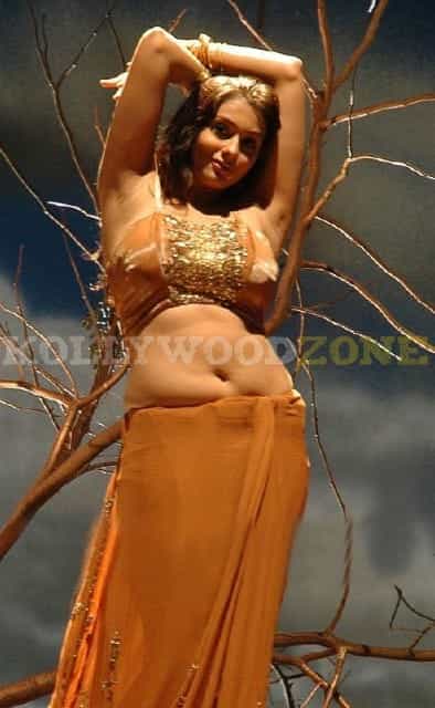 Hot Sexy Namitha Pictures 118