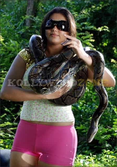 Hot Sexy Namitha Pictures 64