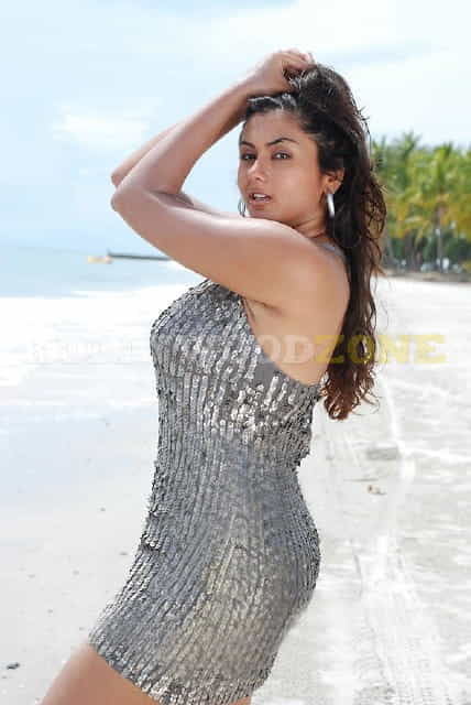 Hot Sexy Namitha Pictures 94