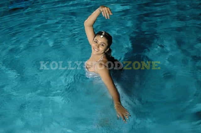 Hot Sexy Namitha Pictures 95