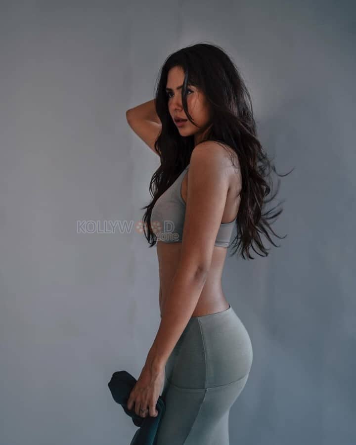 Hot and Sexy Sonam Bajwa in a Grey Bralette and Maxi Skirt Pictures 01