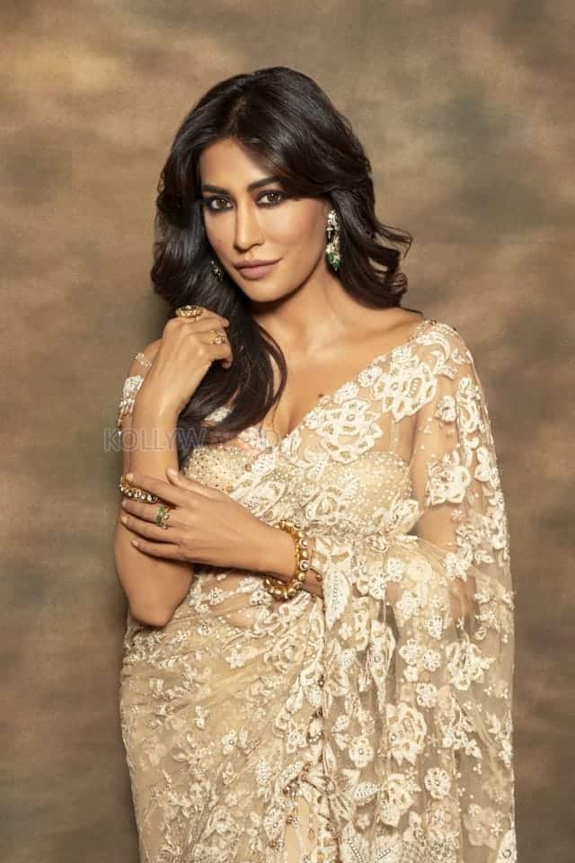 Intriguing Chitrangada Singh in a Biege Saree Photoshoot Pictures 04
