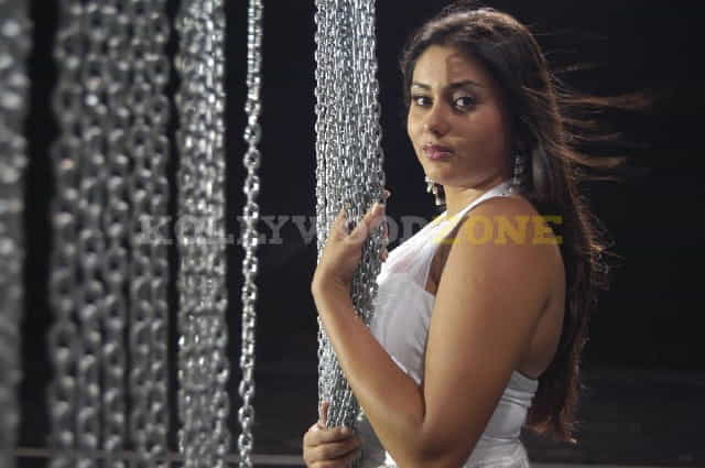 Namitha Hot Pictures 08