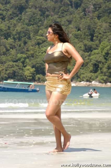 Namitha Hot Spicy Pics 11