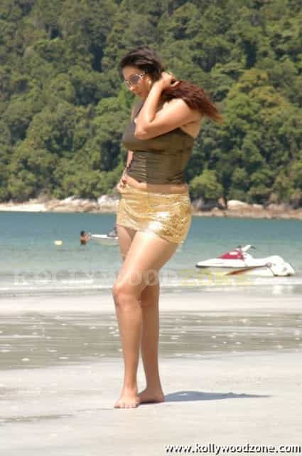Namitha Hot Spicy Pics 12