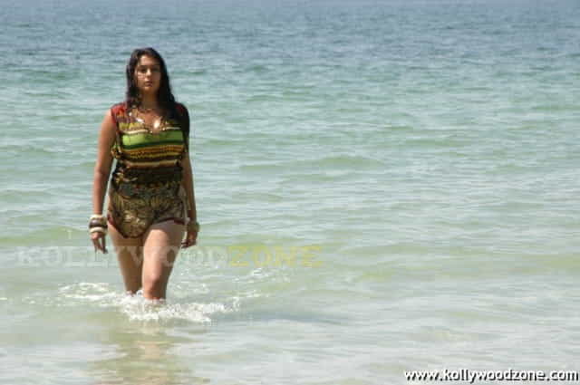 Namitha Hot Spicy Pics 14