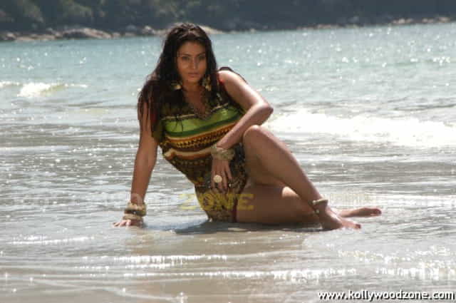 Namitha Hot Spicy Pics 15