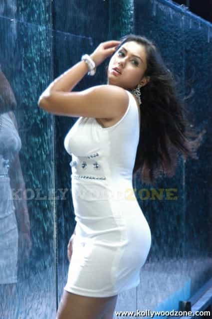 Namitha Hot Spicy Pics 30