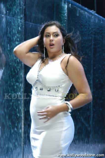 Namitha Hot Spicy Pics 36